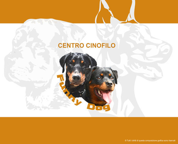 Funny Dog Centro Cinofilo - Venta Viaggi - Kikom Studio Grafico Foligno